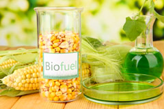 Cane End biofuel availability