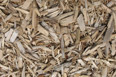 biomass boilers Cane End